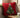 Christmas Cheer Pillow